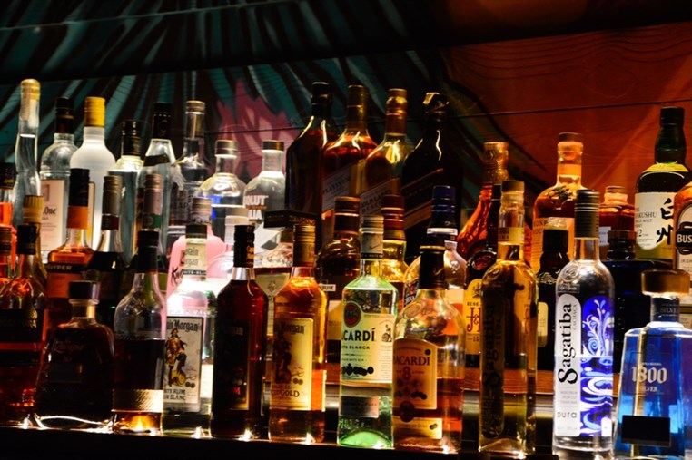 Fertil Dbayeh on Saturday Night